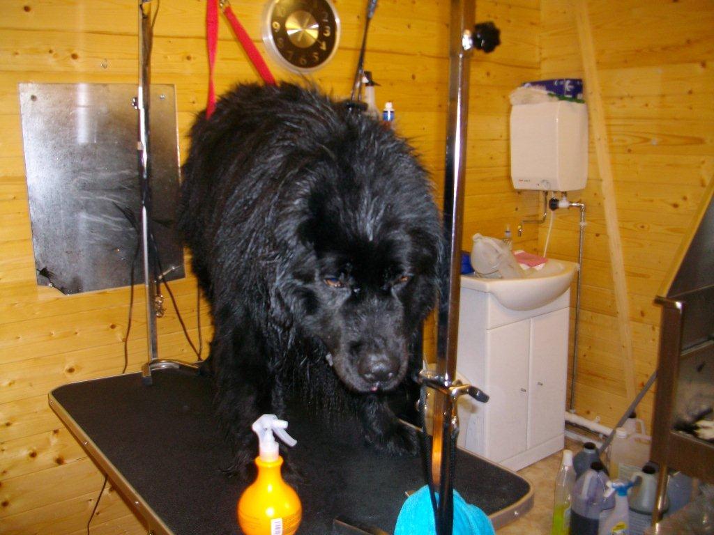 Grooming