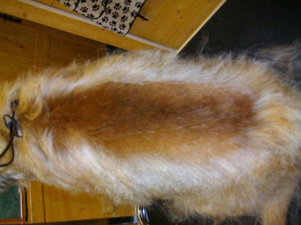 Grooming