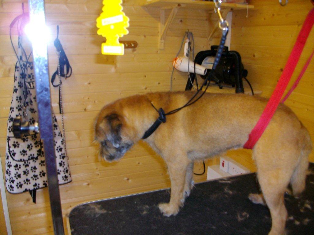 Grooming