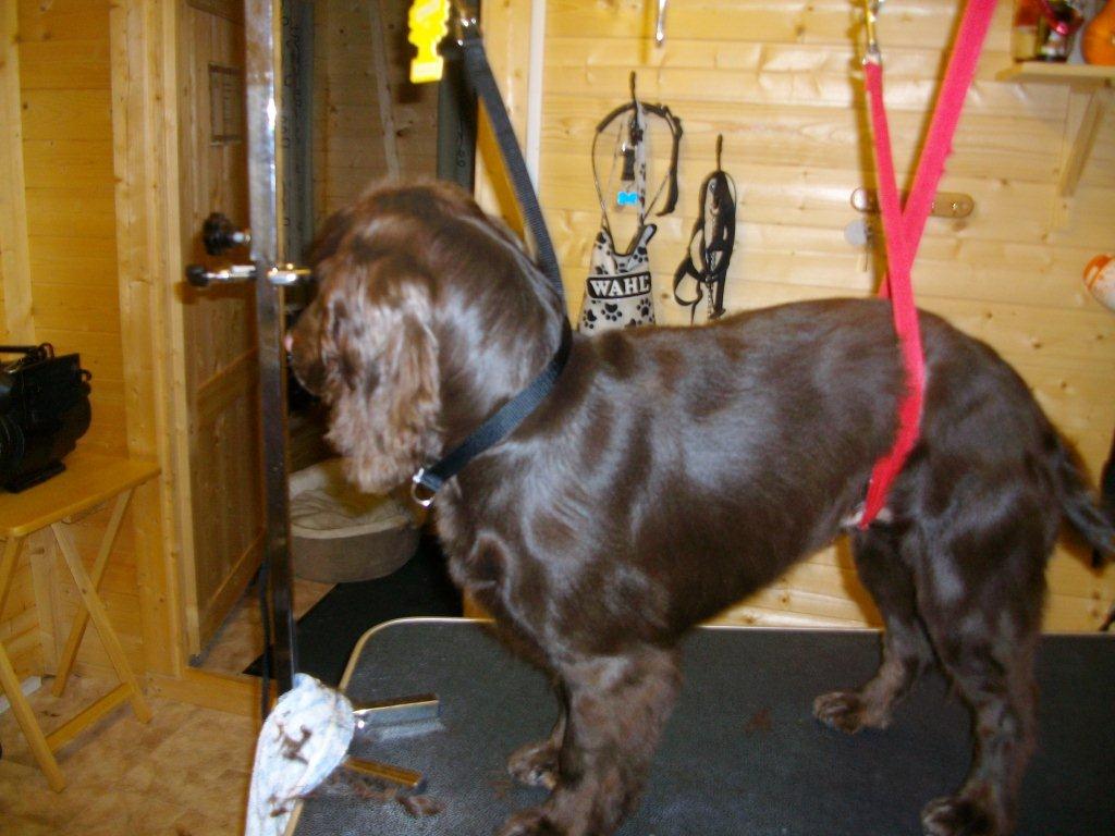 Grooming