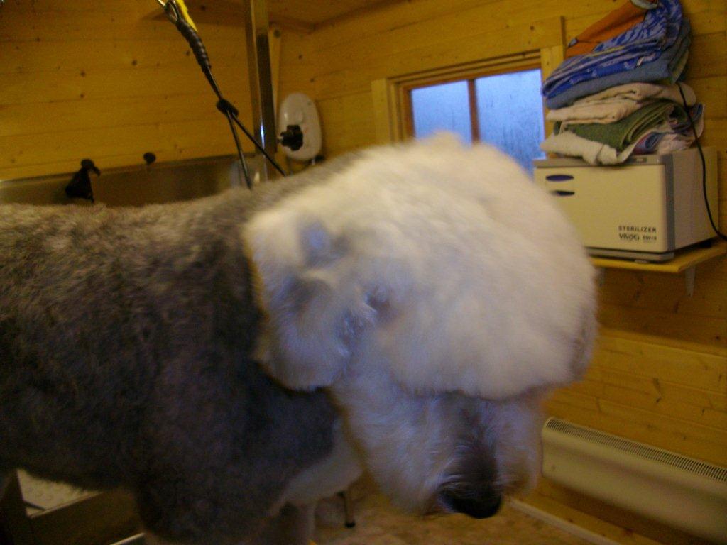 Grooming