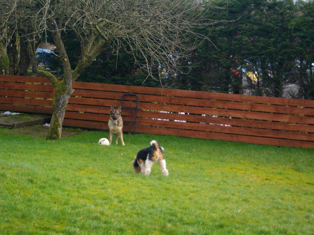 Play Time