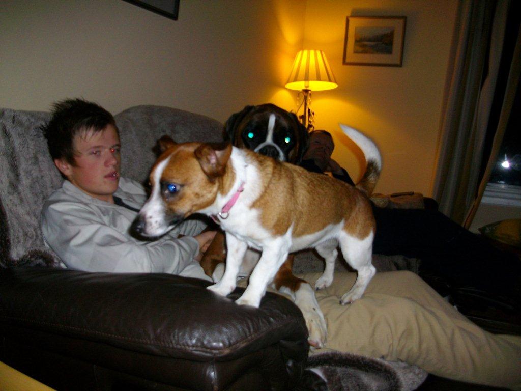 Home Boarding